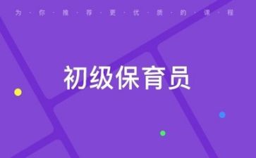 保育育的心得体会最新6篇