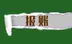 2023年村报账员述职报告6篇