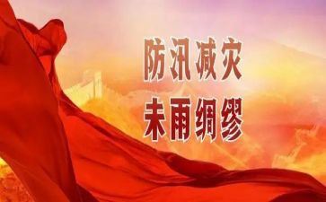 防汛备汛工作总结8篇