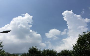 家乡改革的变化作文6篇