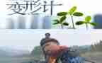变形记作文六年级的作文推荐8篇