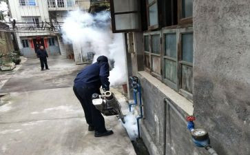 2023年病媒生物工作计划5篇