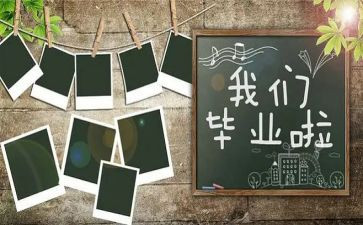 毕设调研报告范文模板7篇