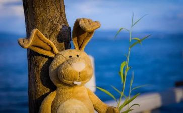 《挫折不可怕》读后感6篇