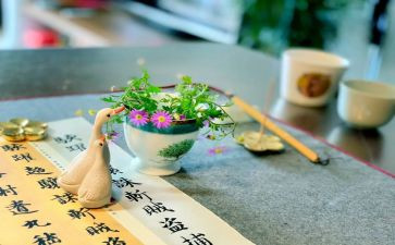 写与众不同的我作文推荐7篇