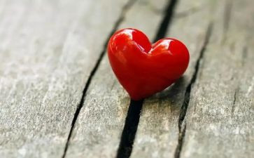 不一样的虾教案6篇