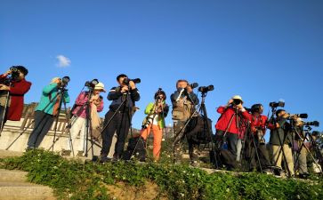 采风心得体会7篇