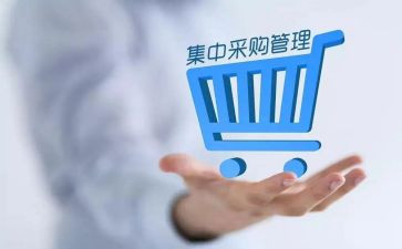 采购的年终总结与工作计划通用5篇