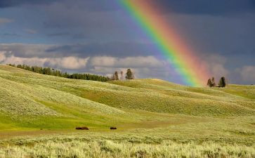 彩虹优秀教案6篇