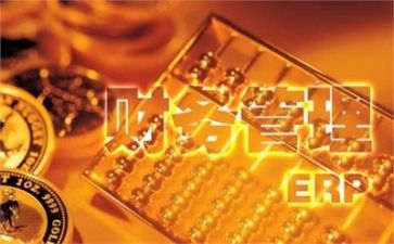 局财务工作个人总结优秀6篇