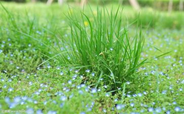 烟草客户经理竞聘演讲稿5篇