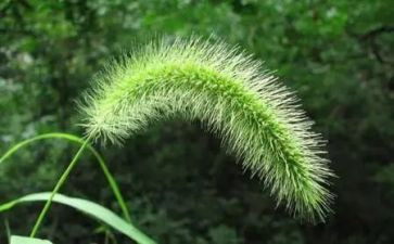 烟草2024工作总结7篇
