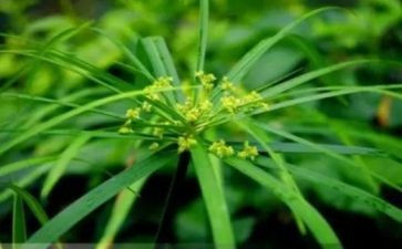 烟草公司培训心得8篇