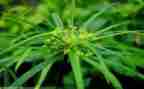 烟草公司培训心得8篇