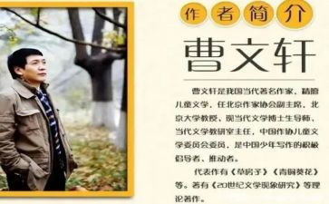 曹文轩的作品根鸟的读后感5篇