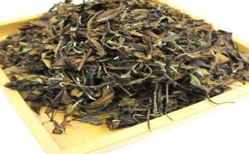 茶文化心得体会6篇