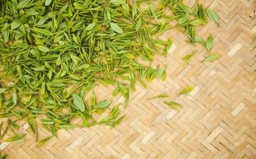 上完茶艺课心得体会5篇