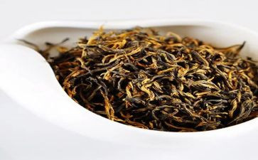 做奶茶作文8篇