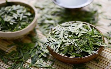 黑茶的心得体会优质6篇