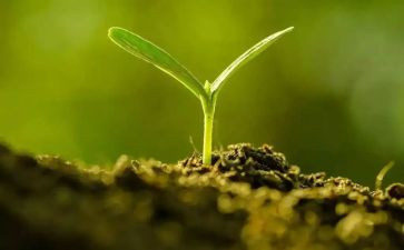 我在长大了作文推荐5篇