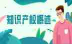 知识产权宣传活动总结7篇