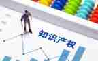 知识产权宣传活动总结精选6篇