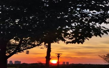 只争朝夕不负韶华演讲稿6篇