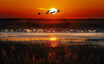 2024只争朝夕不负韶华演讲稿8篇