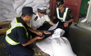 2024年接种证查验工作总结5篇