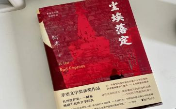 尘埃落定读后感400字5篇