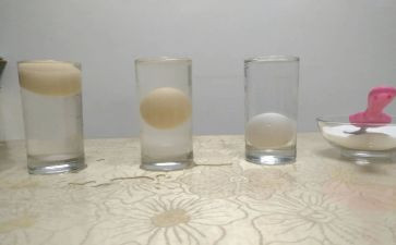 蛋的沉浮教案6篇
