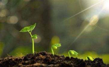 成长类作文7篇