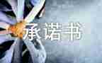 安全责任承诺书7篇
