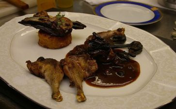 关于拒绝吃野味的演讲稿5篇