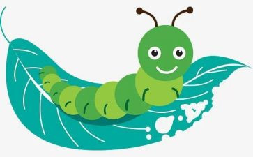 抓昆虫心得体会推荐8篇
