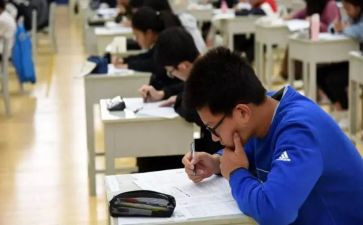 初级职称工作个人总结精选8篇