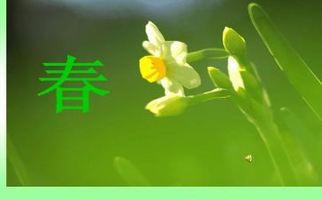 2024年春季学期开学校长讲话稿6篇