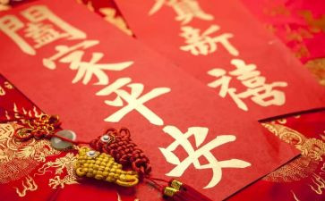 难忘的除夕节作文8篇