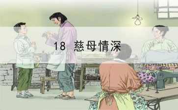 写《慈母情深》的读后感8篇