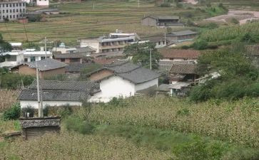 2023村小组工作计划8篇
