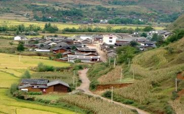 村社区干部个人述职报告7篇
