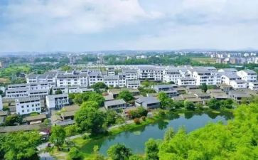 社区村党支部工作计划8篇