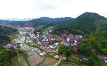 村干部的述职报告6篇