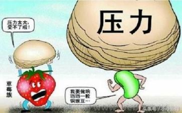 关于挫折的作文500字8篇
