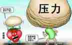 关于挫折的作文500字8篇