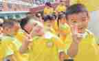 2024-2024幼儿园大班工作总结模板5篇