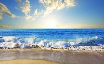 感受大海的作文6篇