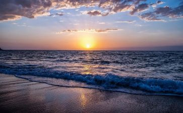 大海的梦作文精选6篇