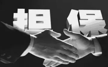 担保人借款合同优质6篇