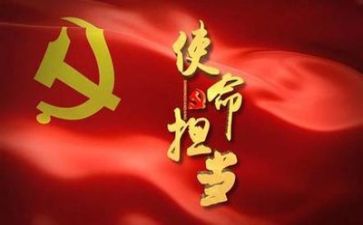 党日活动个人总结精选6篇